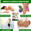 100 Parches KINOKI DETOX - Paquete Grande